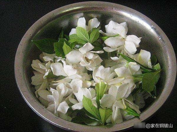  『栀子花』栀子花，观赏之后别浪费!凉拌栀子花，清热去火，夏季最配的美食!