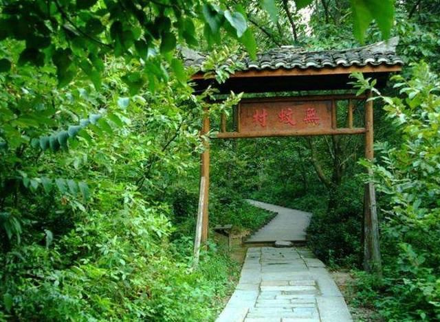 国内最奇怪的村庄,千年来都没有一只蚊子,专家指出原因