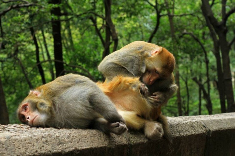 中国最惨省会:7年GDP暴涨3.15倍全国第一，如今GDP却仅超县级市