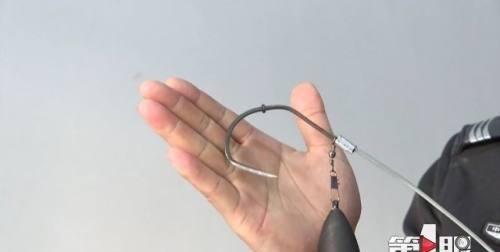 『锚鱼』鱼线上安装摄像头?这样钓鱼违法