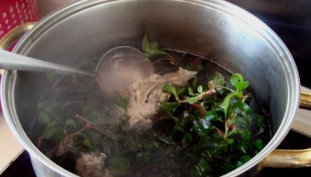  「锦绣苋」一种长在旱地的“西洋菜”，叶片有多种颜色，很多城里人都没吃过