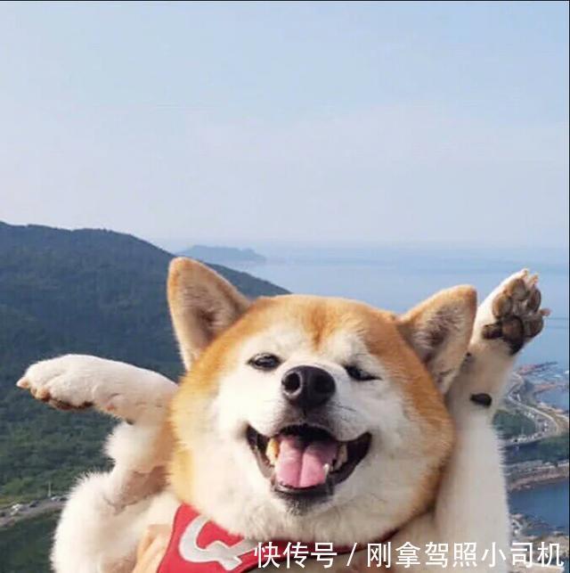  适合@好用定妆产品集锦，平价大牌都有，效果都很棒，总有一个适合你