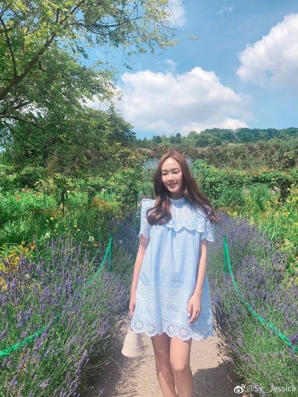 杨幂之后郑秀妍的发际线也掉线了？行走的发型教科书就这么凉凉了