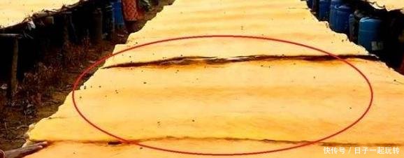 “印度神物”在中国畅销，如今却没人买！驴友看了你也不敢买