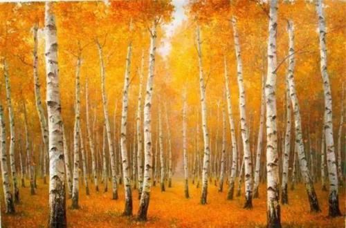 秋天，这个地方就会开启“油画”仙境模式，是房车自驾绝佳去处