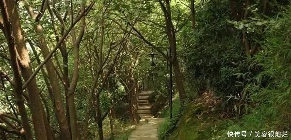 t01fd29ca38315ce605.jpg?size=600x289