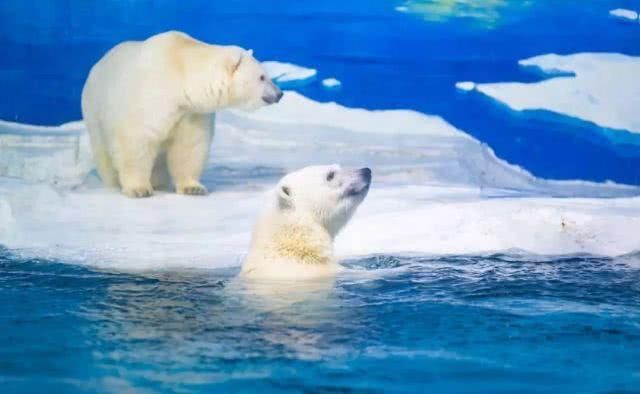  「重启」不能重启的2020，接下来的日子在天津要这样过！