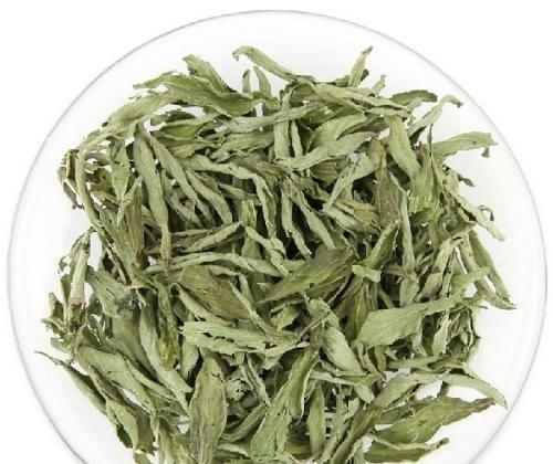 #入药#世界上最甜的叶子,天然甜味剂还可入药,农民种植每亩获利5000元