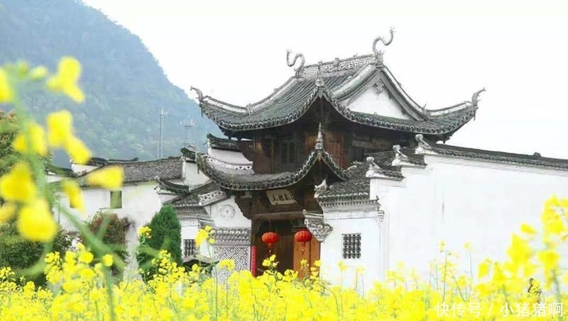 村干部为农民好，免费给农民粉刷外墙，一些农民却不领情，为何？