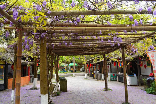 同为旅游城市,桂林和张家界哪个更深得人心?游客直言:张家界