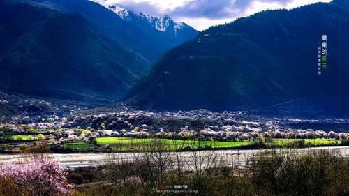 3月看桃花我想这个地方应该是绝大多数人梦中的天堂