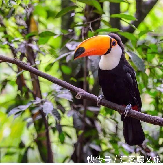 TOP5冷门国度将免签!美女泛滥,风光成灾或许一生只能去一次