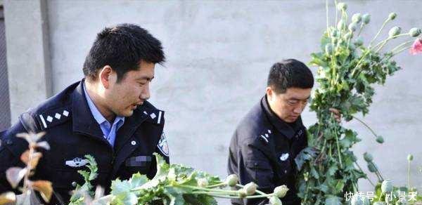 中国“最特殊”的一群农民, 每天24小时被人看守, 种的东西不愁卖