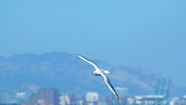 广东“压力最小”的两座城市，广州、珠海落榜，没想到会是这地方