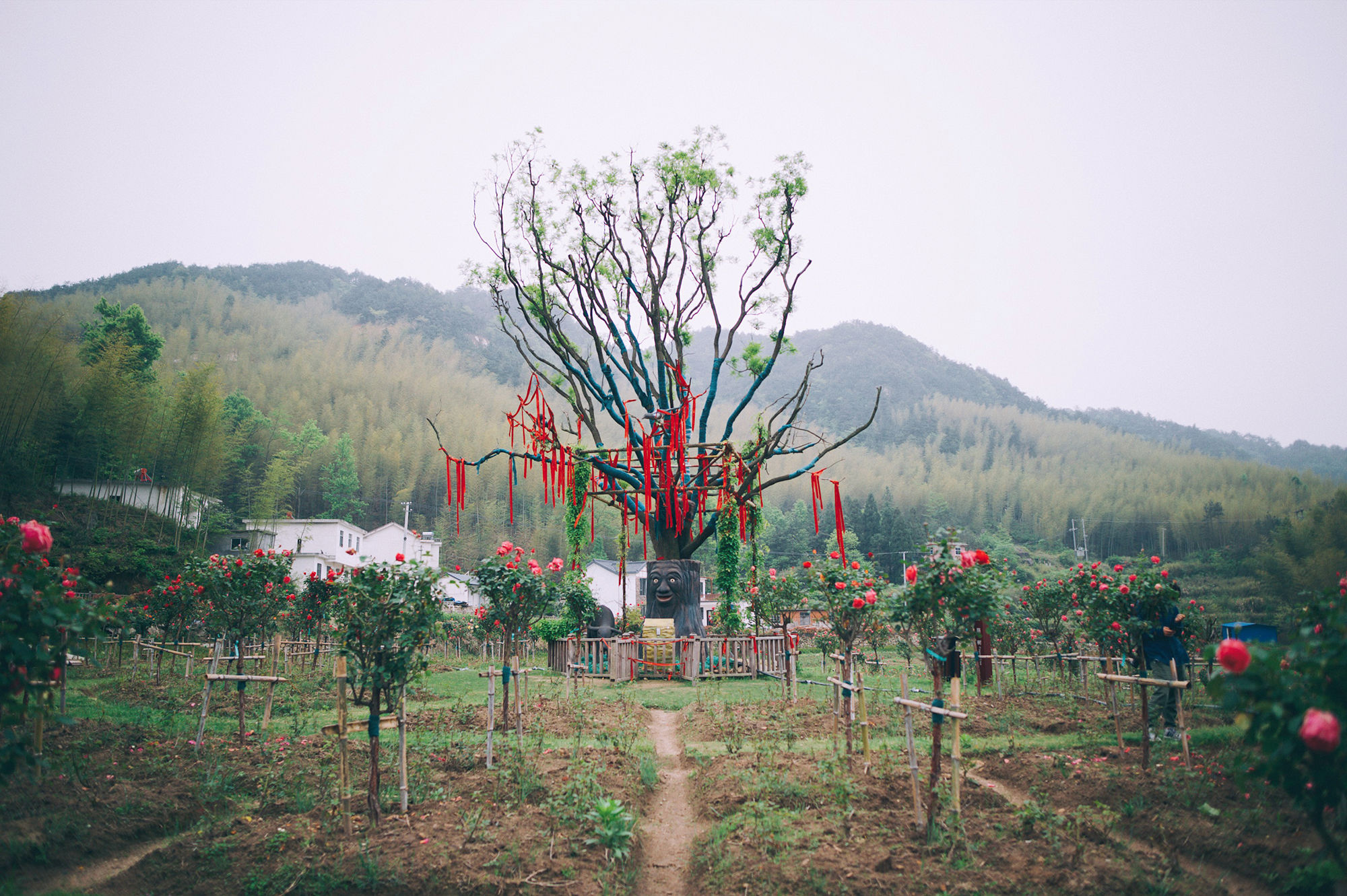 走进北纬30°的天柱山，一处风光秀丽又神秘的地方