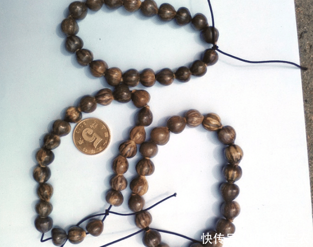  装饰品：乡下一种不起眼的植物，以前烂地里没人要，如今26元1斤