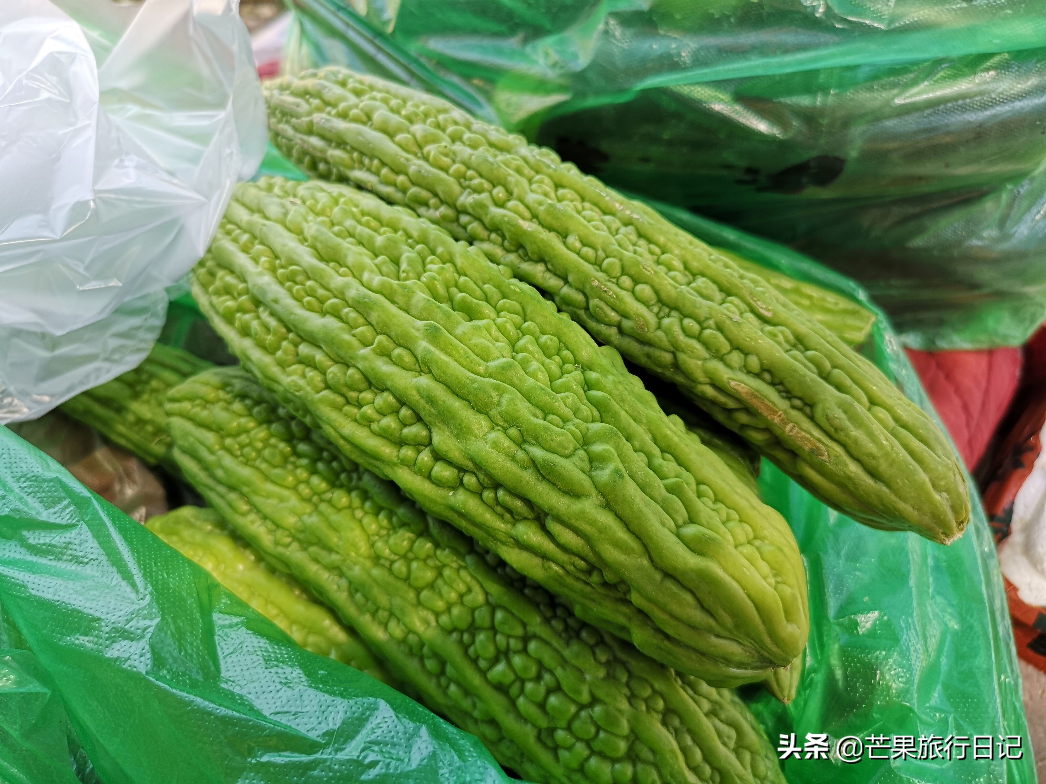 新疆菜市场有什么不同?转了一圈眼界大开，价格低到不想回广东