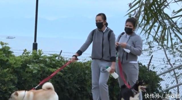  [富商]从富商“收割机”到独立富婆，关之琳带俩保姆遛狗，光头男伴左右