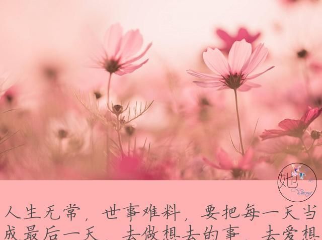 【人到中年】人到中年,平淡是真,平安是福