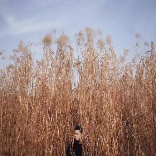 太实用了，用手机拍出好片的10个绝招！