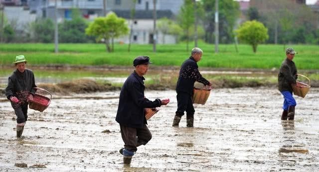 土地承包期延长至2057年，农村新增人口如何获得土地？来看看