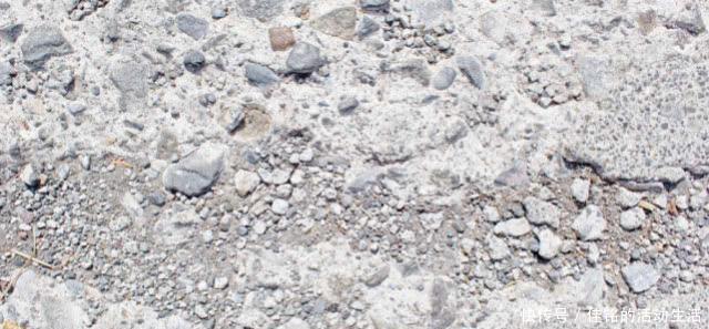  #国家#为什么国家要禁止使用混凝土修建高速公路了？网友：还好