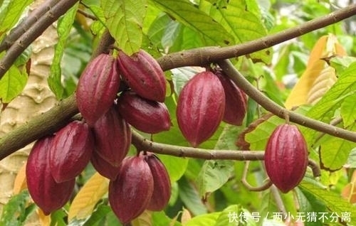  皮肤|睡觉之前一定要做四件事，坚持一个月，痘痘黑头全部消失了