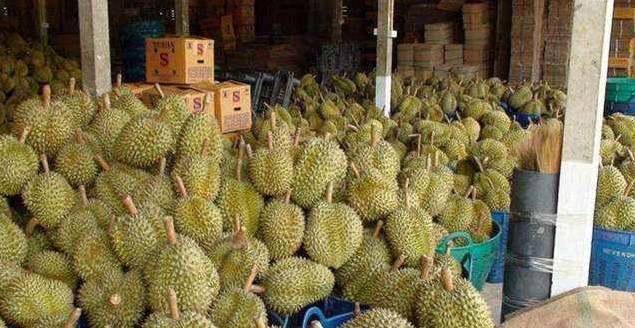 中国游客在泰国游玩时,当看到水果摊上的标识语,国人大怒回国！