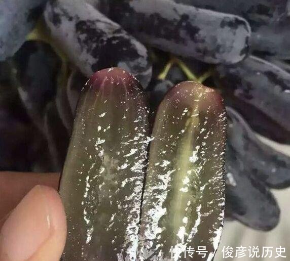 『盆栽』闲置阳台种上这个, 养眼好吃易管理, 盆栽一年即可挂果!