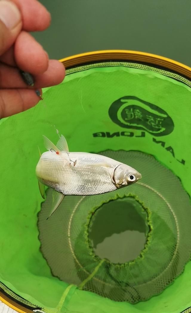  【失误】一个大的失误，造成鱼杆失踪！含泪警告钓友