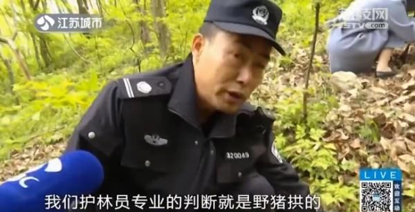 坐不住■国家二级保护植物被公开售卖?植物爱好者坐不住了!