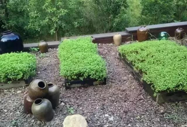 城市待不下去了，回乡村吧，建个院子安静生活