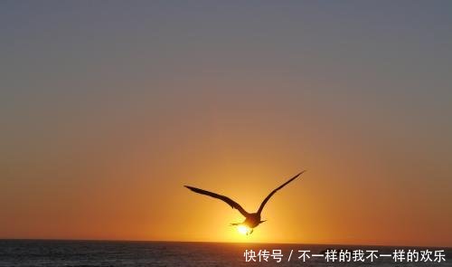 一篇《滕王阁序》竟有四十个成语，不愧是“天下第一骈文”