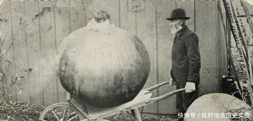  【饥荒】美国才是“浮夸风”的鼻祖，超出你想象的照片，带来的