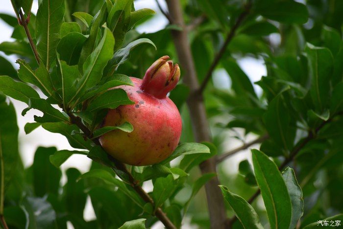 奥迪A6L，宝马X3，奔驰GLB，凯迪拉克CT5，不一样的新感受之九