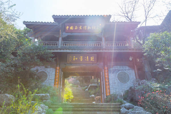 西湖最冷门的旅游路线,人少景美,一般人都不知道