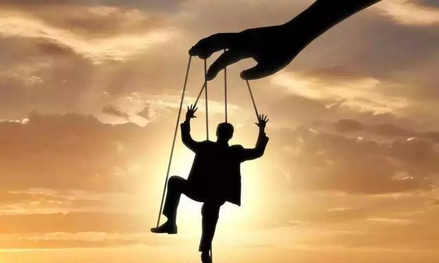 乐视网复牌跌停，谁主导了此前的暴涨？