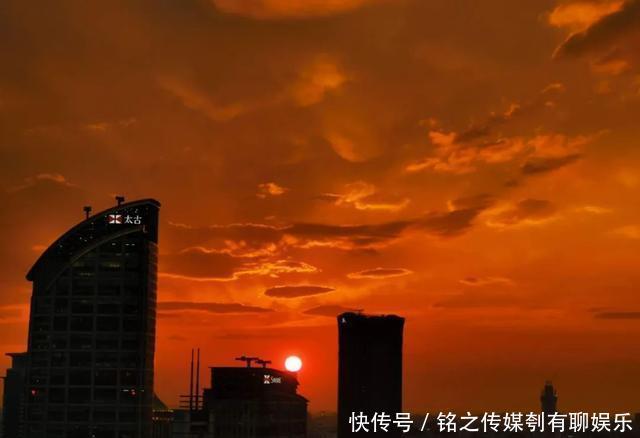  平均气温大于22℃：昨天，上海因为它登上热搜！美到窒息……