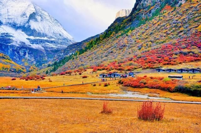 江苏最冷气温多少