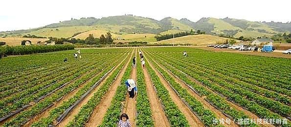  知晓@三农在改变！未来农村或将迎来新的变化，2个问题，农民早