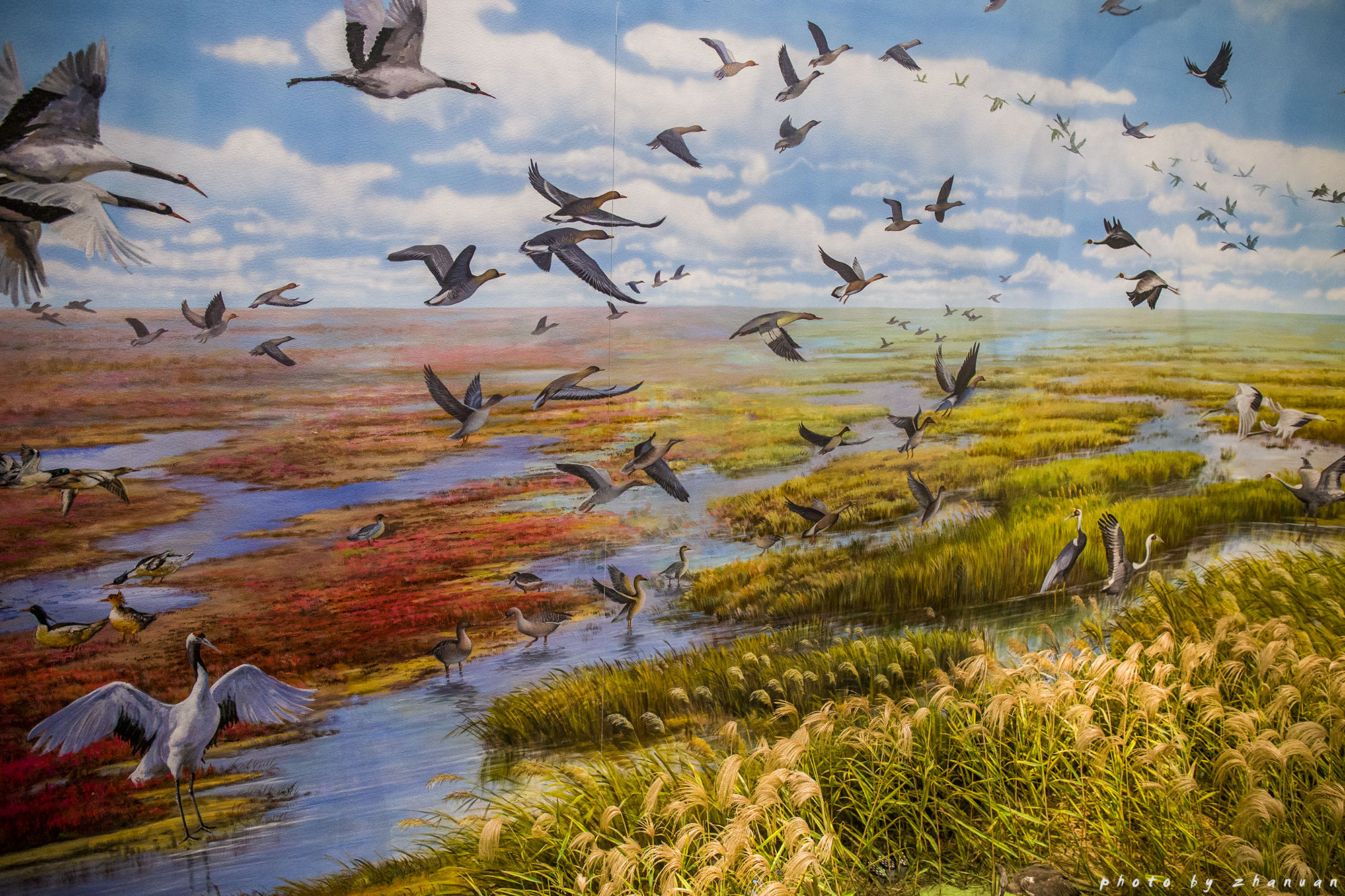 东营丨走过沧海桑田，终是在芦花飞雪的秋日遇见你