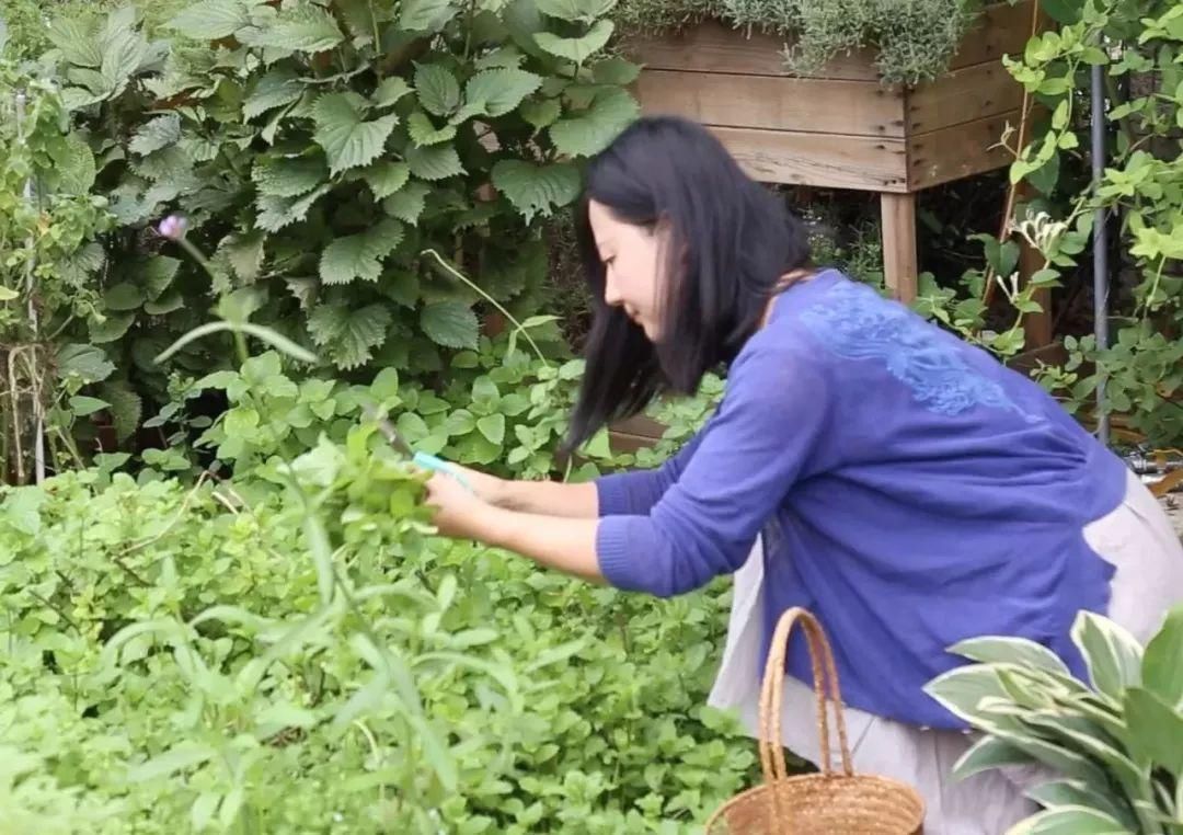  『花房』你在梦想有一个花房的时候，别人家的姑娘已经用一亩地实现了