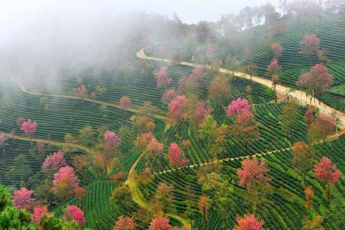 云南面积最大的城市，人口总量仅261万人，却比两个丽江还要大