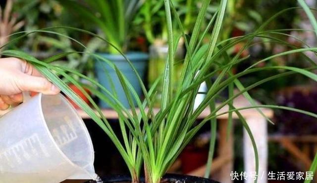  「根部」养花浇水难、摸不清量，就划分为6点，让根部不再受水患影响
