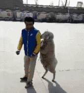  『哥们』搞笑GIF：大姐你别费力气了，这黑人哥们你是搓不白的