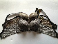 史上最“胸”车模只是穿了图4的文胸!穿上图六让你一秒从A变F