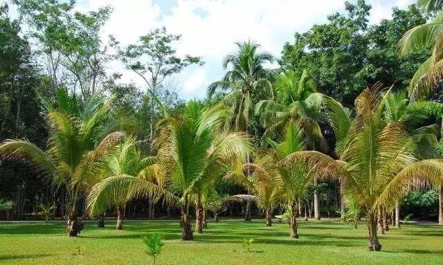  「慢慢」中国212个AAAAA景区全在这里, 存起来, 慢慢走完!