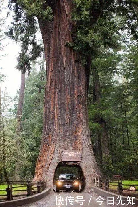 500年难得一见的顶级照片，让人叹为观止