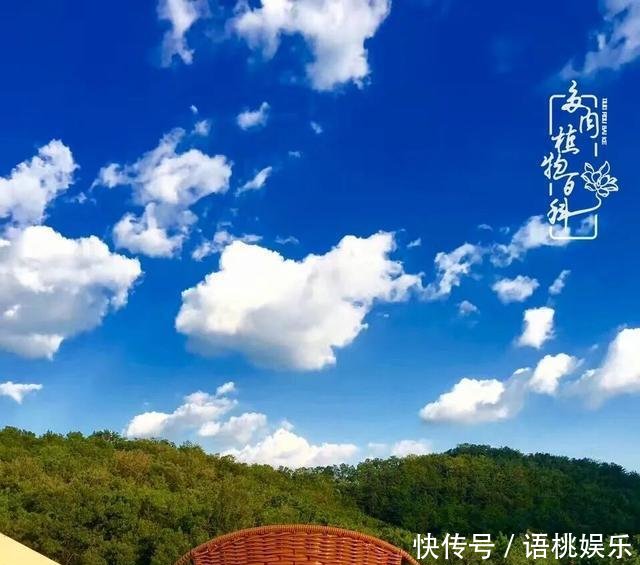 #喜欢#一粥一饭填饱肚子,一屋一花神仙日子!生命不止,玩趣不停!