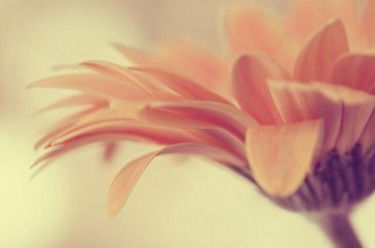 林清玄:没有明净的内在，任何美丽都是虚妄的